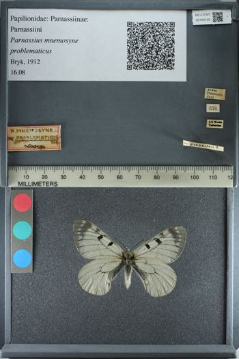 Media type: image;   Entomology 180120